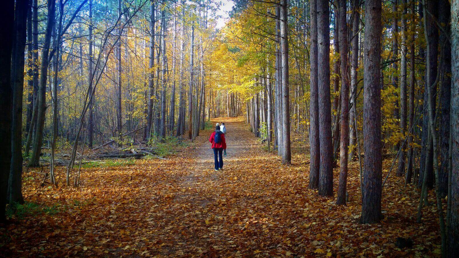 Ideas to simplify your life